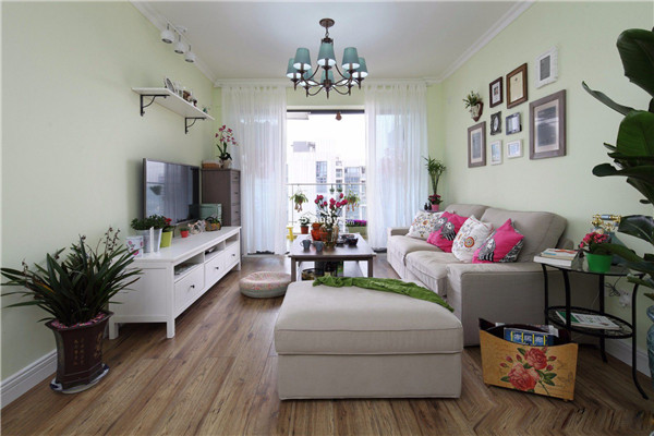 華一網裝修-植物裝飾 華一網裝修-植物裝飾